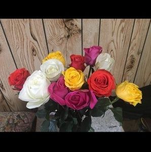 Meet your Posher, Michelle